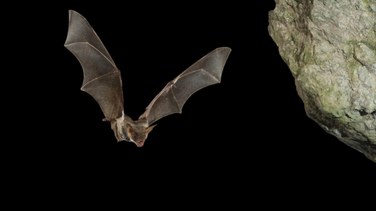 Arrete du 27 décembre 2018